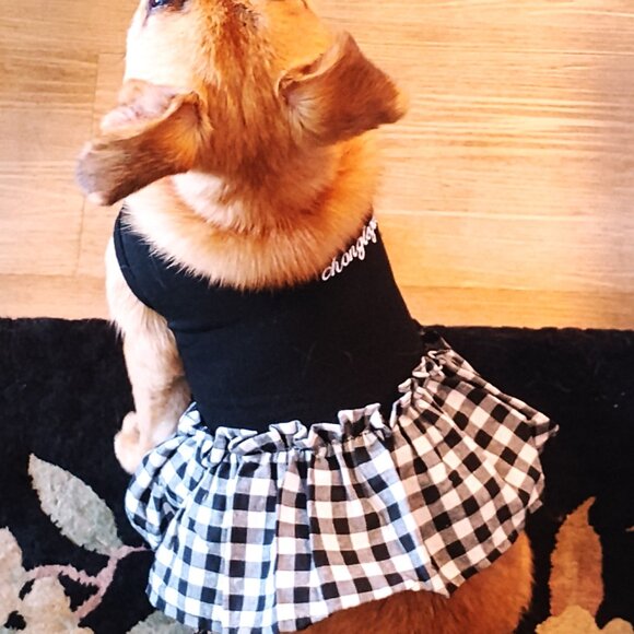 Black and White Dog Dress with Ruffle, Size Small - Picture 5 of 6